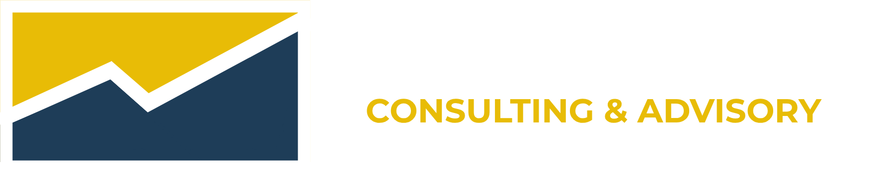 Waymark CFO — Consulting & Advisory